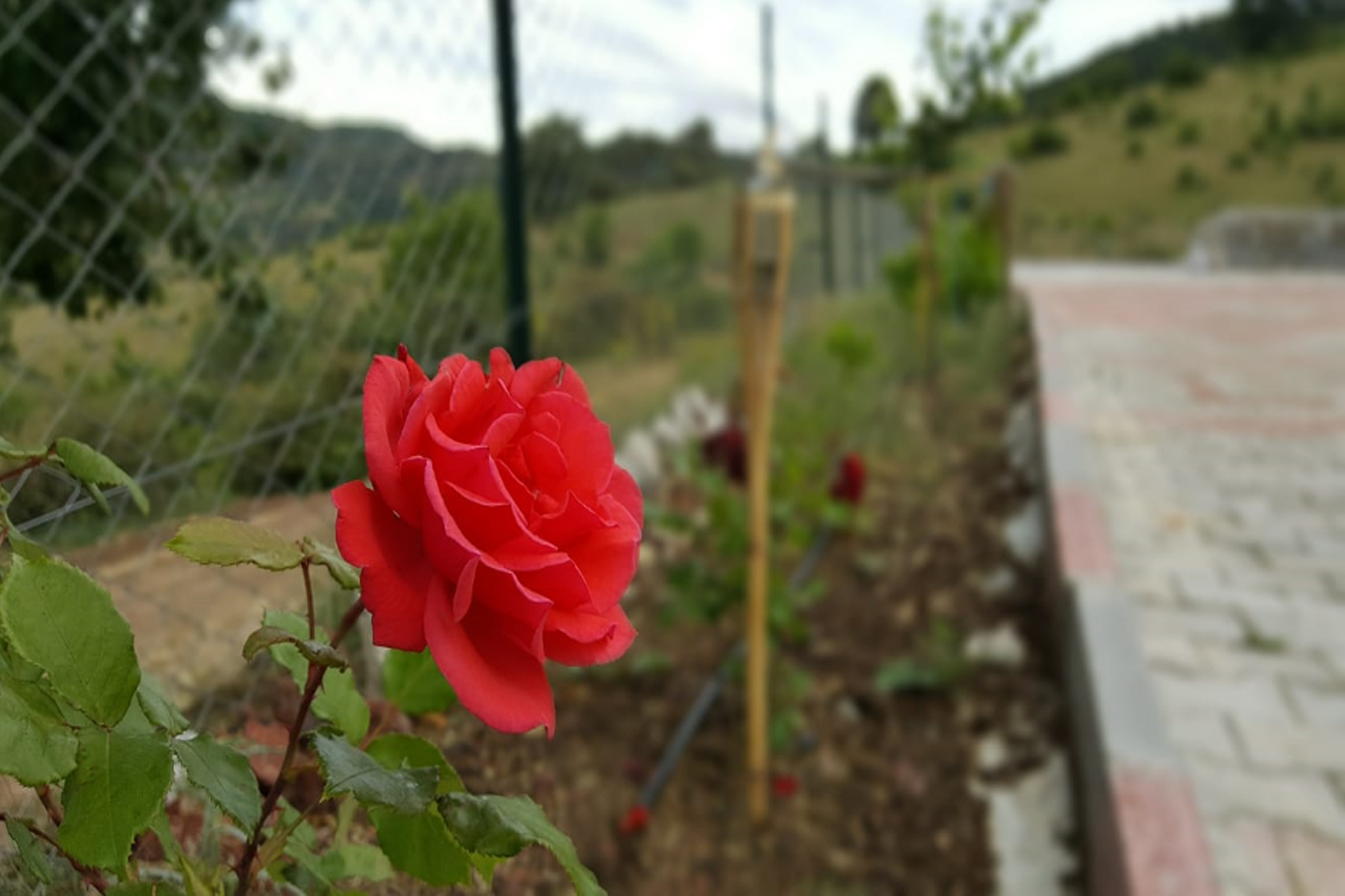 laptopmockup_sliderdy