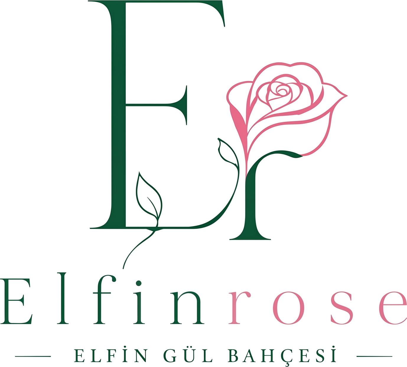 Elfinrose — Elfin Gül Bahçesi